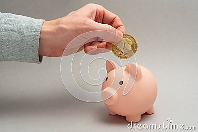 Neo holding concept. Piggy bank for altcoins. Cryptocurrency saving symbol. A man puts coin in a money box on a gray background. C Stock Photo