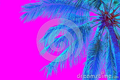 Neon colored palm tree on pink background Stock Photo