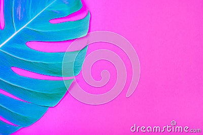 Neon colored Tropical plant green monstera leaf on acid plastic pink background. Stock Photo