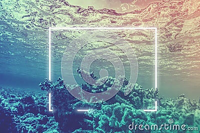 Neon light frame glowing underwater behind coral reef. Duotone Stock Photo