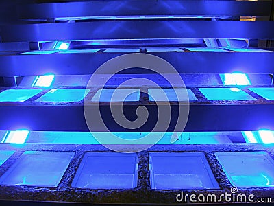 Neon lights Stock Photo