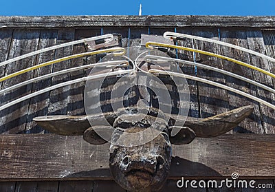 Neon sign, carved bull head, western saloon Stock Photo