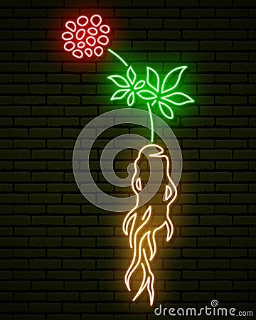 Neon sign, in the form of a ginseng plant. With root, stem, leaves and flowers. Vector Illustration