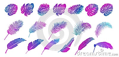 Neon Tropic Banana, Monstera, Palm Leaves Set, Vector Tropical Summer Leaf, vibrant purple template Vector Illustration