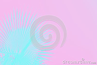 Neon turquoise palm leaves on pink background. Minimal concept. Copy space Stock Photo