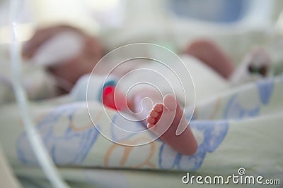 Neonatal Intensive Care Stock Photo