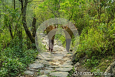 Nepalese girls carry big basket with wood logs Stock Photo