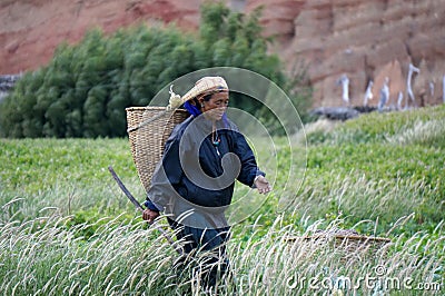 A Nepalese woman goes to collect the vegetables in the garden with a hoe and a basket, in the village of Chusang Editorial Stock Photo