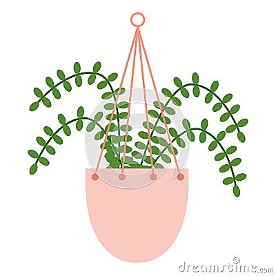 Nephrolepis with four leaf in hanging ceramic pot Vector Illustration