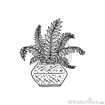 nephrolepis houseplant. Indoor potted plant vector black and white outline doodle illustration. Vector Illustration