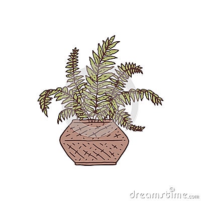 nephrolepis houseplant. Indoor potted plant vector outline doodle illustration. Vector Illustration