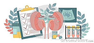 Nephrology. Urology. Kidney disease. Urine analysis and kidney ultrasound. Vector illustration isolated on white Vector Illustration