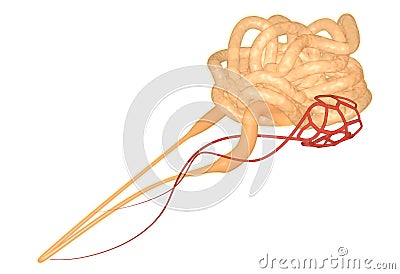 Nephron Stock Photo