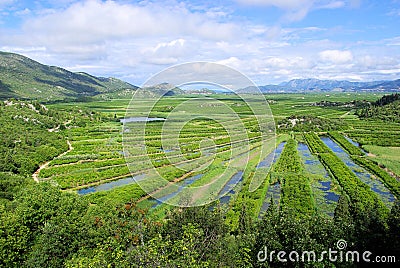 Neretva Delta Stock Photo