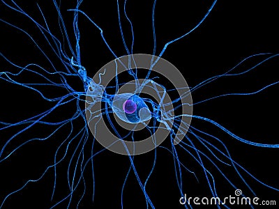 Nerve cell Stock Photo