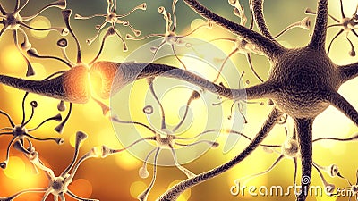 Nerve Cell Stock Photo