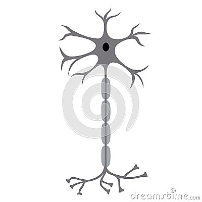 Nerve Cell Neuron Vector Illustration