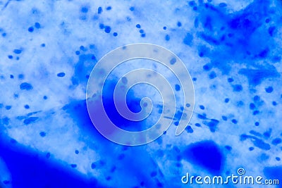 Nerve cell under the microscope - Abstract blue dots on white ba Stock Photo