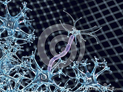 Nerve cells, myelin sheath. Cartoon Illustration