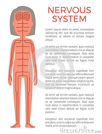 Nervous System Poster and Text Vector Illustration Vector Illustration