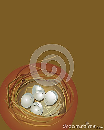 Nest Vector Illustration