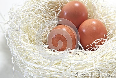 Nest Egg Stock Photo