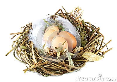 Nest egg Stock Photo