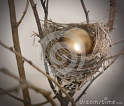 Nest Egg 2 Stock Photo