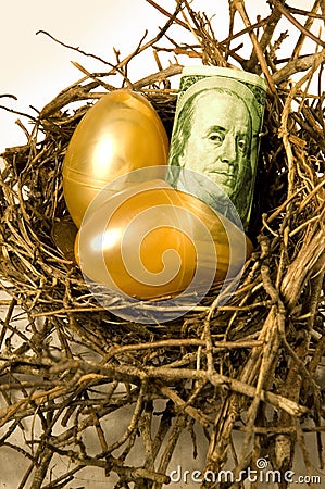 Nest eggs Stock Photo