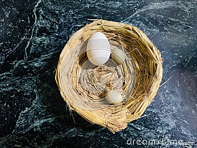 nest of eggs and bird eggs Stock Photo