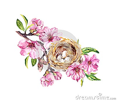 Nest with eggs on cherry blossom, sakura flowers in spring time. Watercolor twig Stock Photo