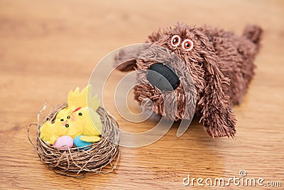 Nest with eggs and chicken next dog Stock Photo