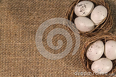 nest with eggs on a sackcloth. Happy Easter eggs. Background with easter eggs. Stock Photo