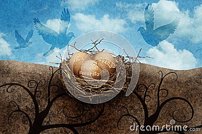 Nest eggs Stock Photo