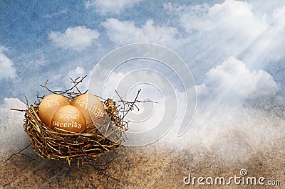 Nest eggs Stock Photo