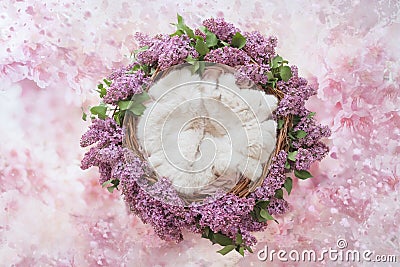 Nest of grapevine and lilac flowers for photographing newborns on a pink floral background Stock Photo