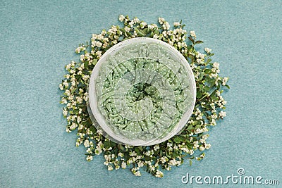 Nest with a green mat for photo shoots of newborns, decorated with sprigs with white berries Stock Photo