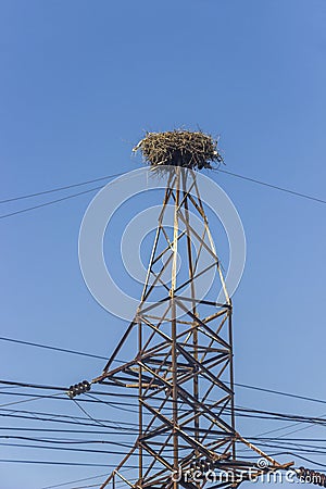 A nest of storks on the top of electric tower Stock Photo