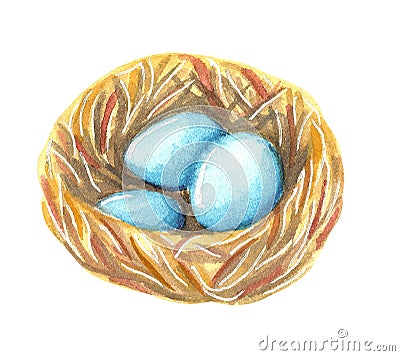 A nest with turquoise blue eggs of wild bird robin Cartoon Illustration