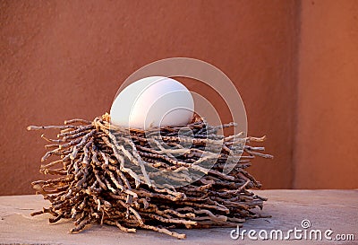 Nest of Twigs Stock Photo