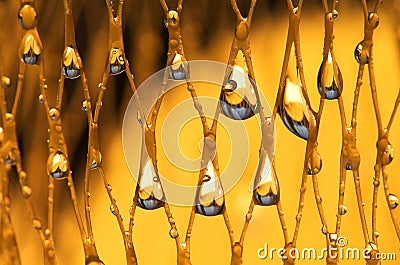 Net and drops Stock Photo