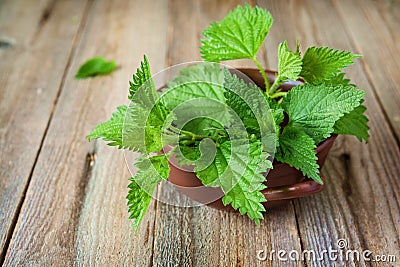 Nettle in bowl Stock Photo