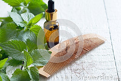 Nettle and cure of loss hair alternative medicine concept Stock Photo