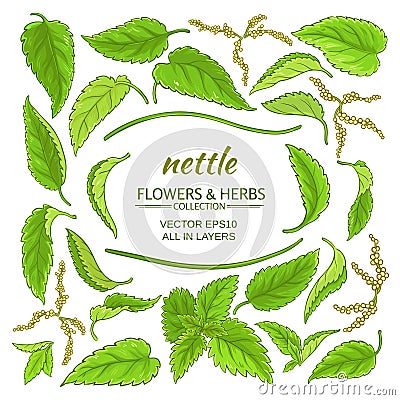 Nettle elements set Vector Illustration