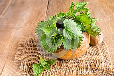 Nettle Stock Photo