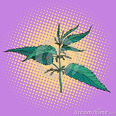 Nettle, green burning plant Vector Illustration