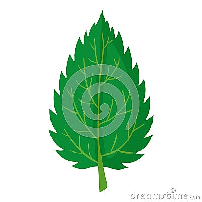 Nettle leaf icon, cartoon style Vector Illustration