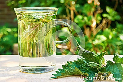 Nettle leaves in a glass of nettle tea on a wooden table Stock Photo