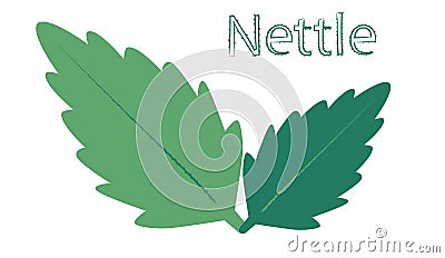 nettle leaves on a white background the logo and the inscription nettle Vector Illustration