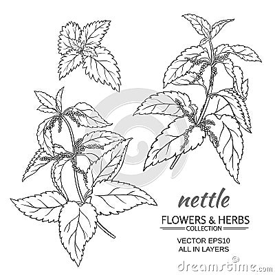 Nettle vector set Vector Illustration